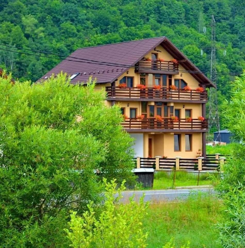 Casa Vadeanu Hotel Máramarossziget Kültér fotó