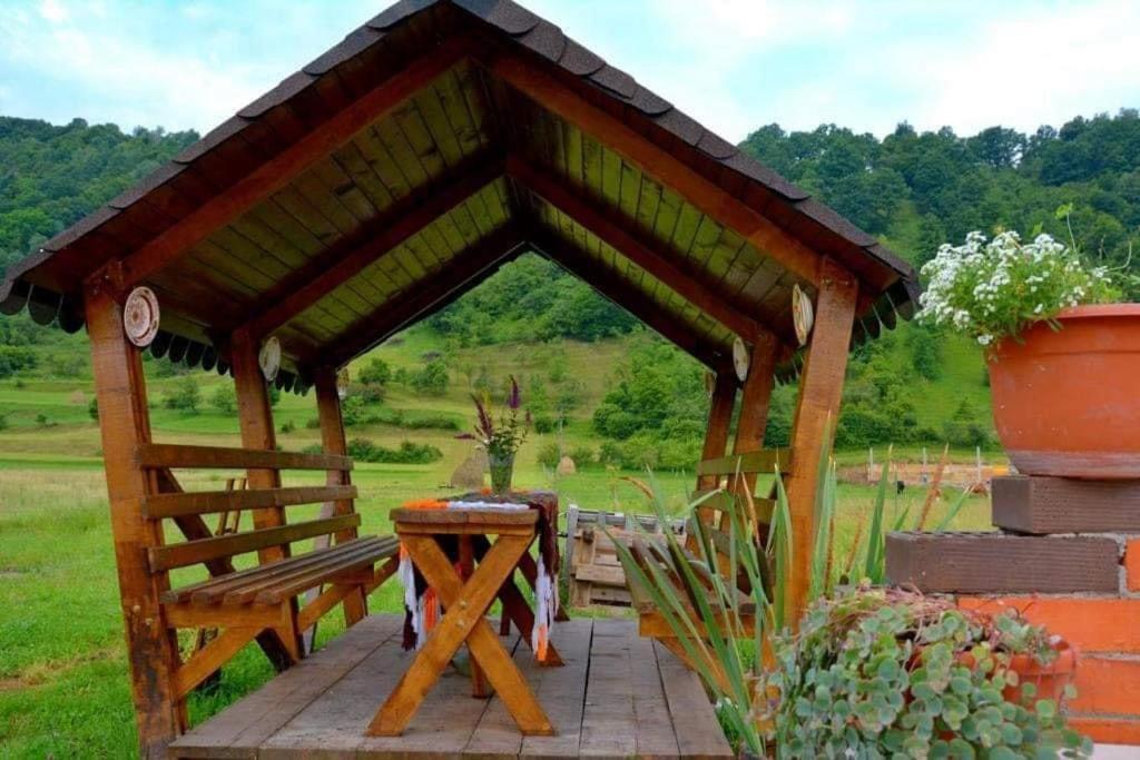 Casa Vadeanu Hotel Máramarossziget Kültér fotó