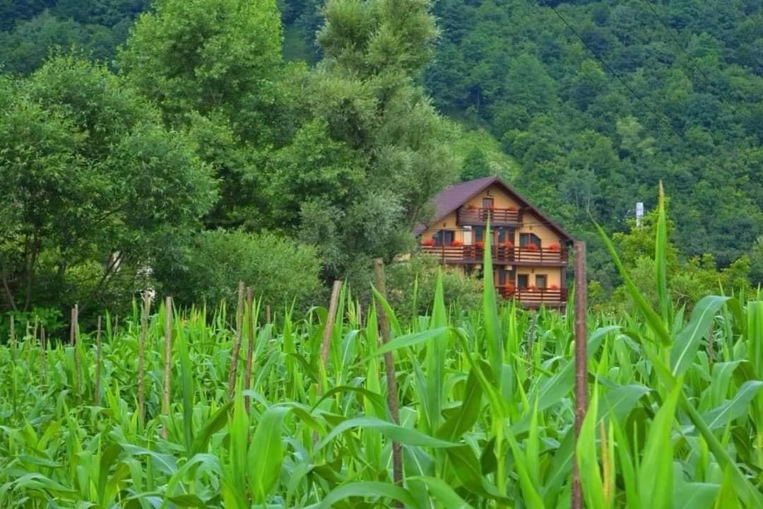 Casa Vadeanu Hotel Máramarossziget Kültér fotó