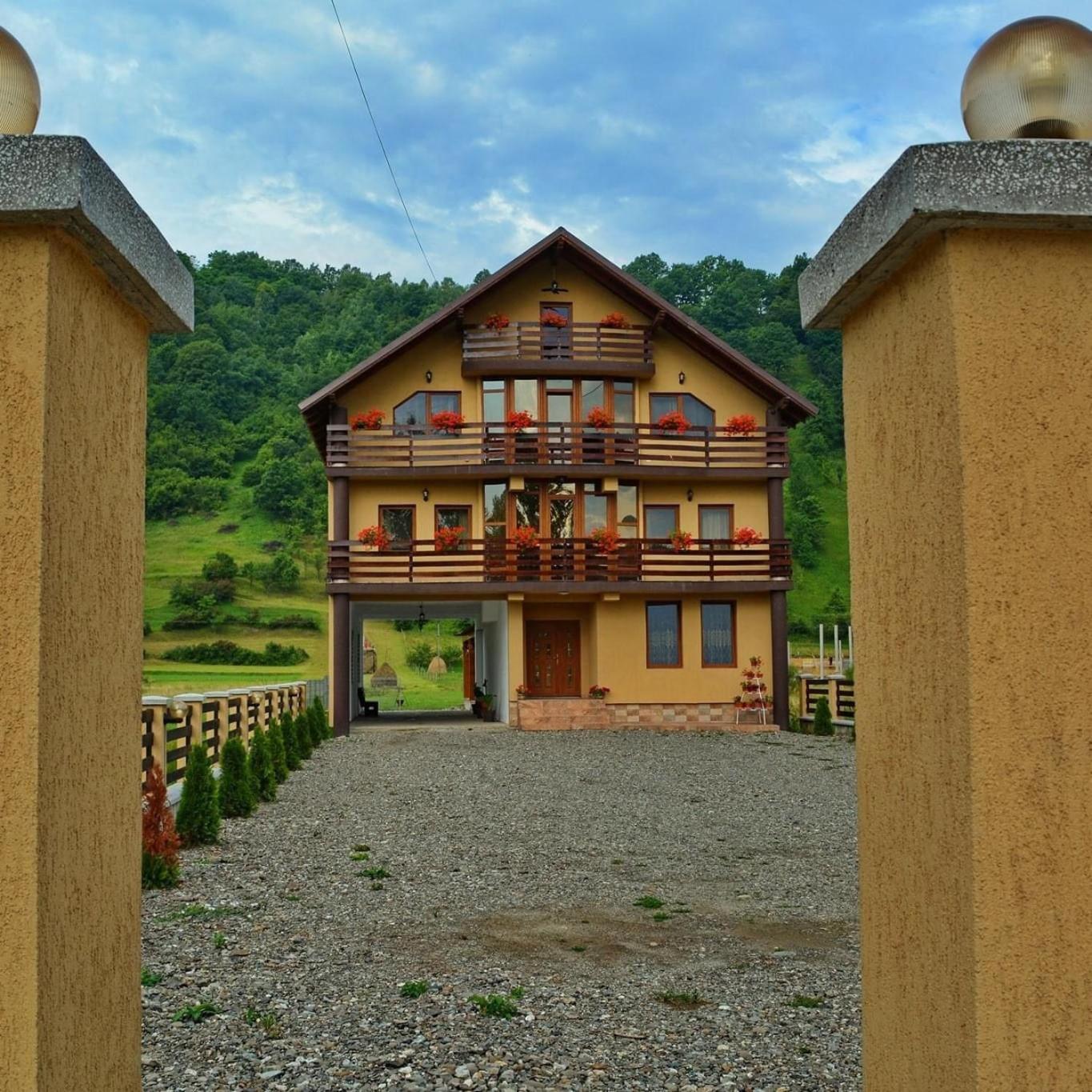 Casa Vadeanu Hotel Máramarossziget Kültér fotó